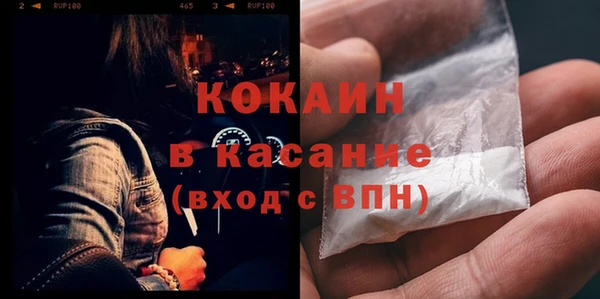 сатива Тихорецк