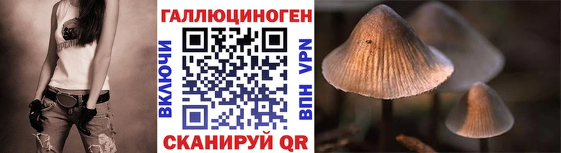 Купить  Ялуторовск  Псилоцибиновые грибы Psilocybine cubensis 